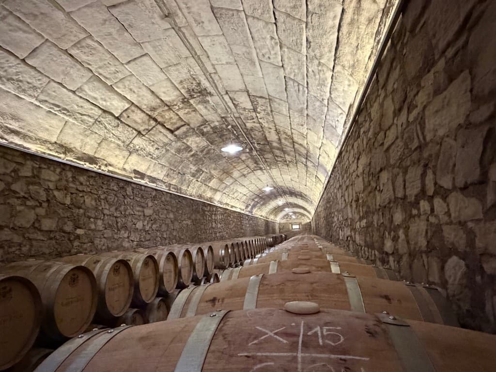 Vaulted stone cellar with rows of oak barrels