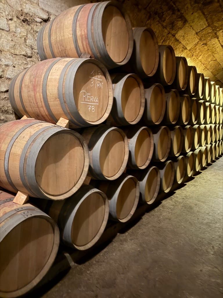 Rows of upright oak barrels in a stone cellar