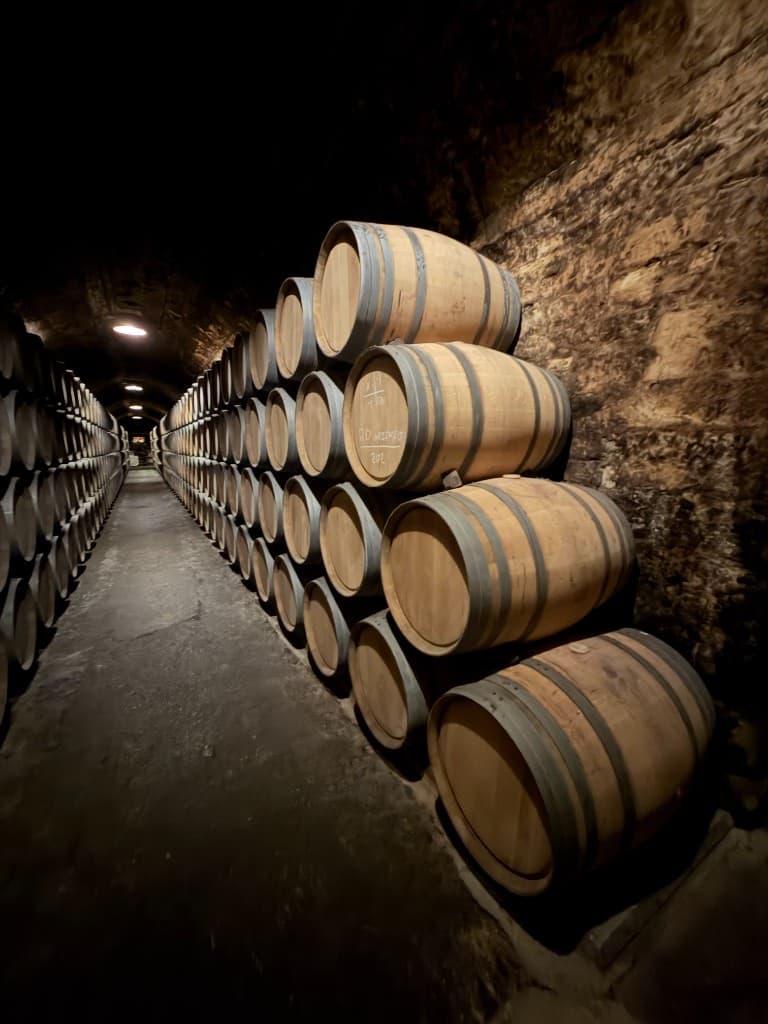 Have Selara Sommelier Organize for You — Selara Sommelier