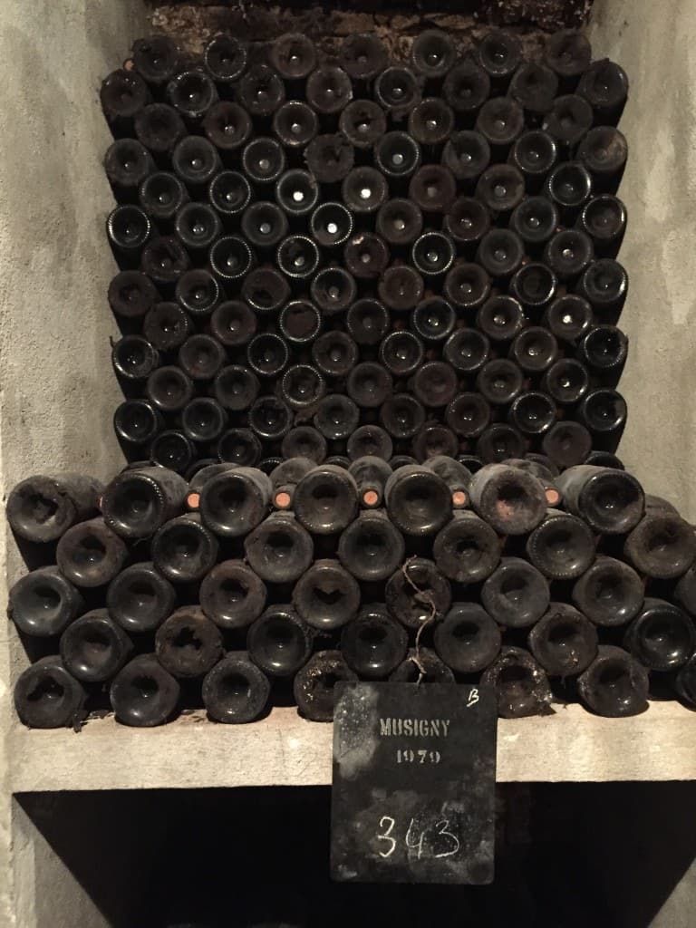 Bottles organized on wooden cellar racks