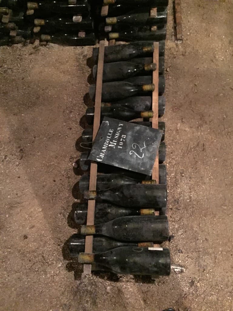 Close detail of cellar wood and bottle necks