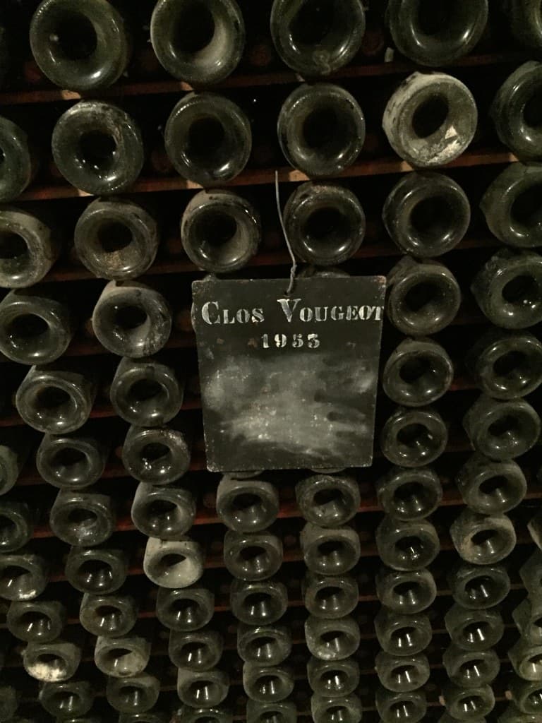 Dusty cellar bottles with a Clos Vougeot 1955 slate tag