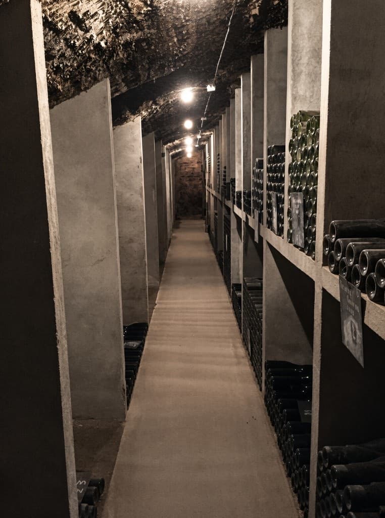 Vaulted cellar corridor lined with bottles — Selara Sommelier wine collection management